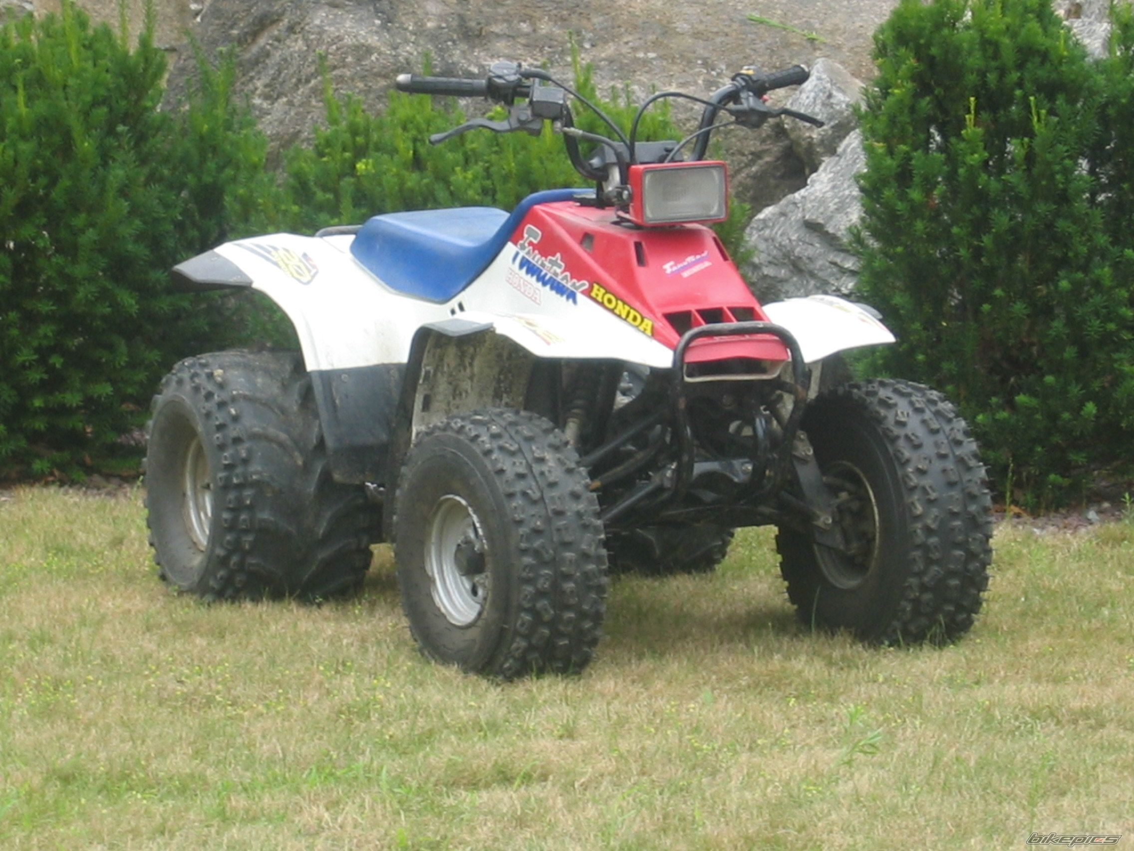 Bike Photo 1531500