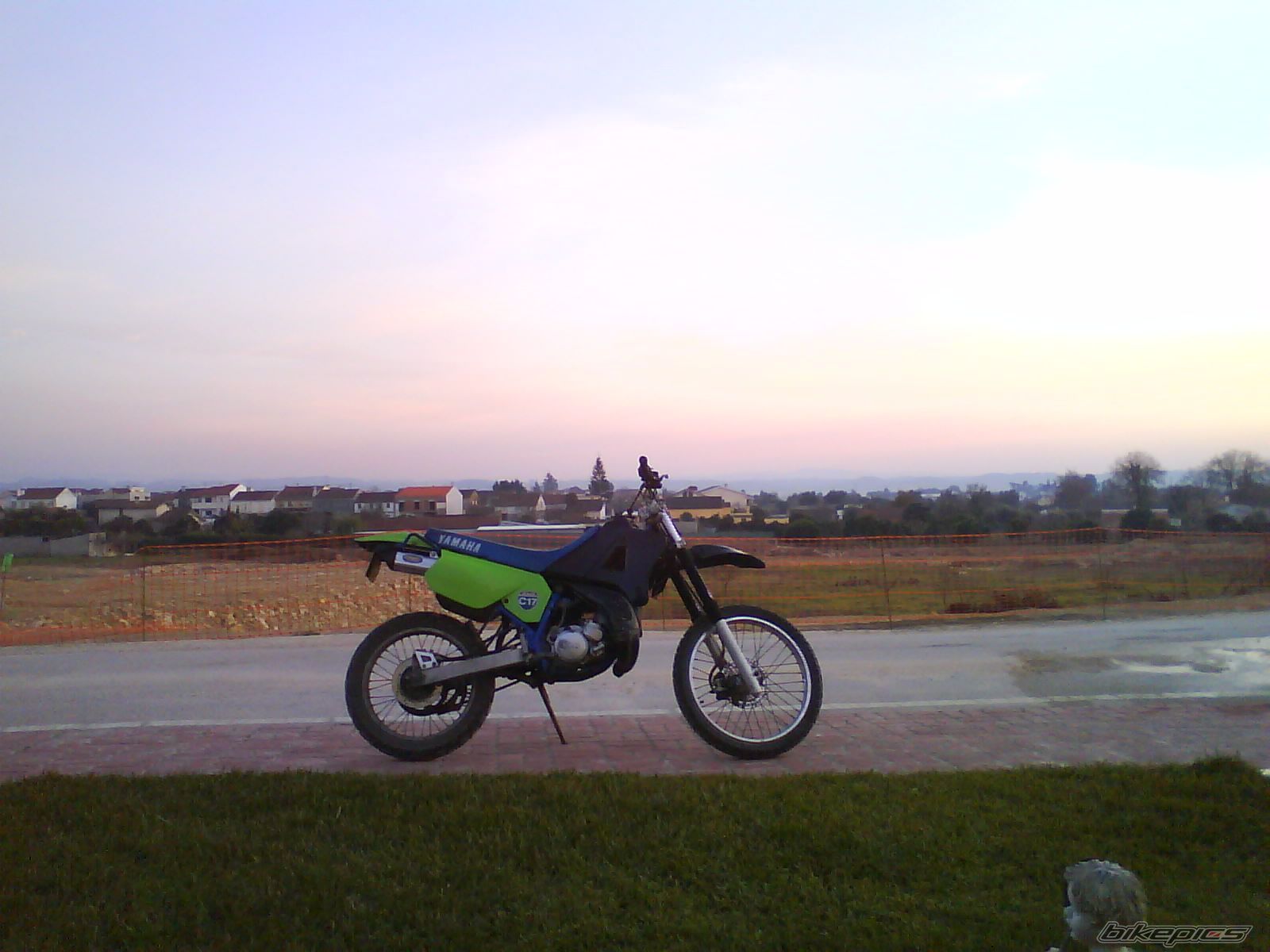 Photo 1531505