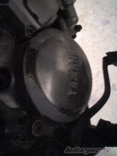 Photo 1531506