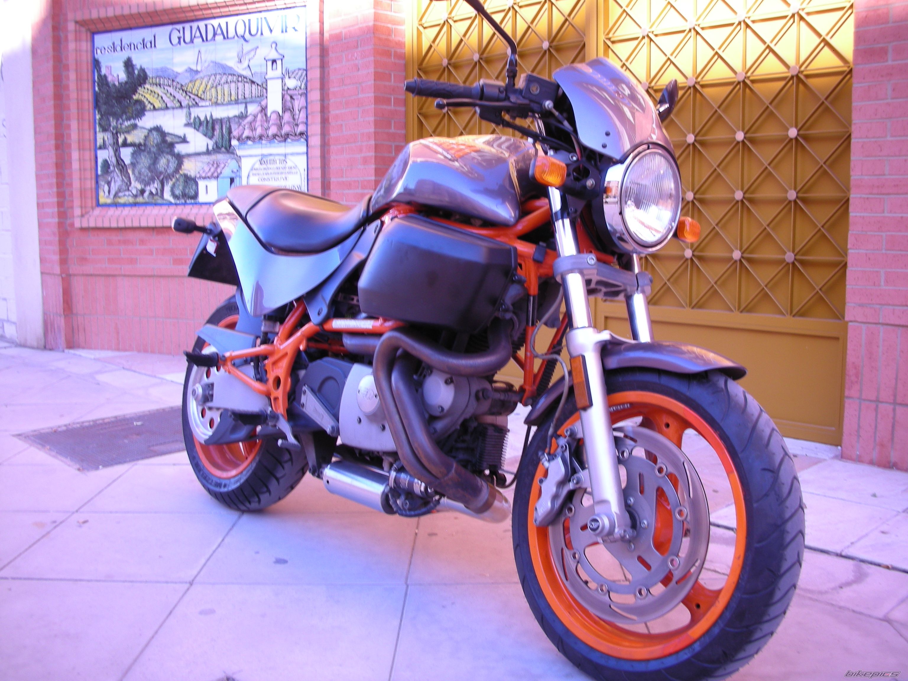 Photo 1531527
