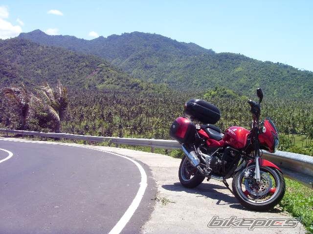 Photo 1531662