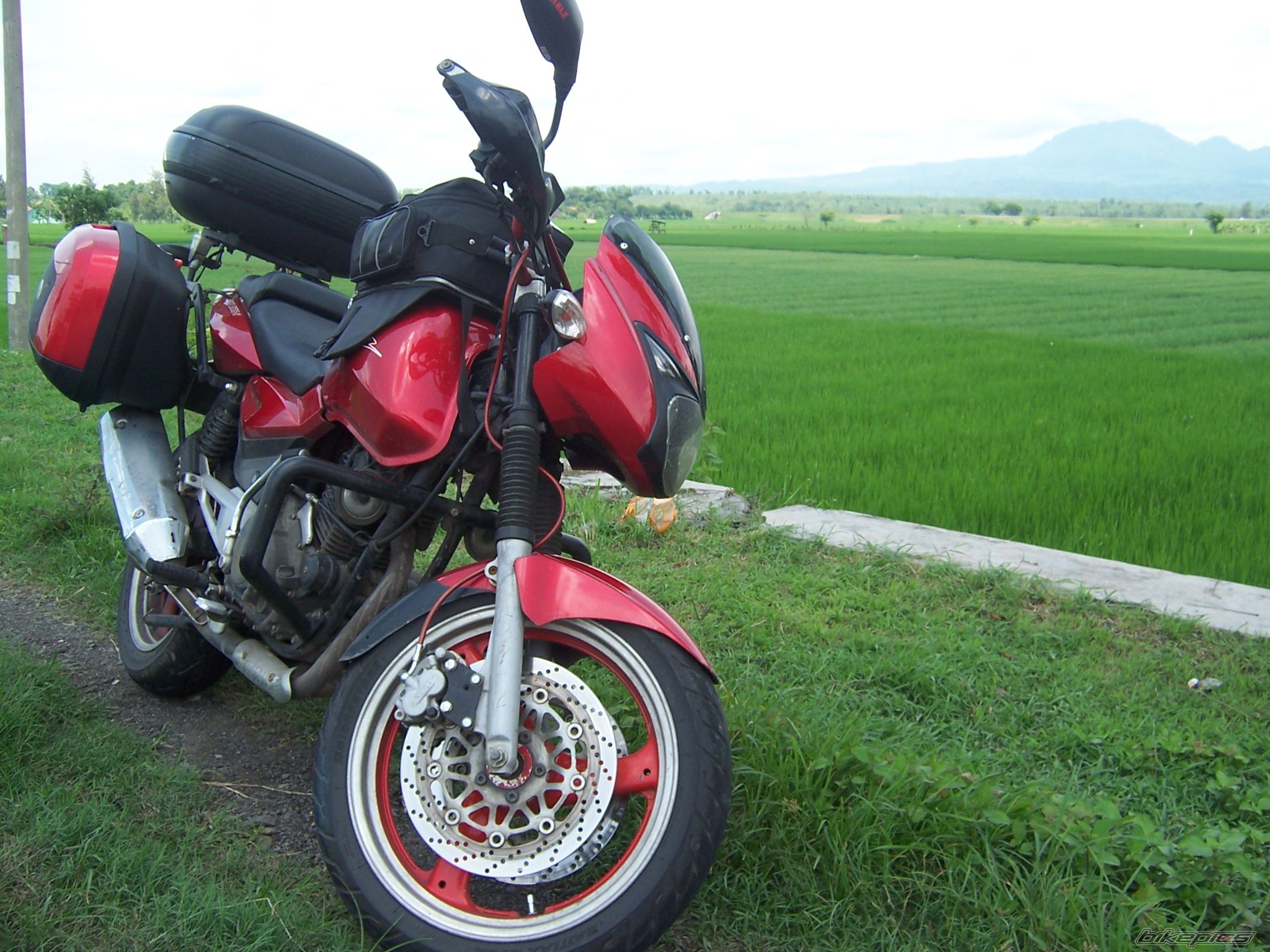 Photo 1531663