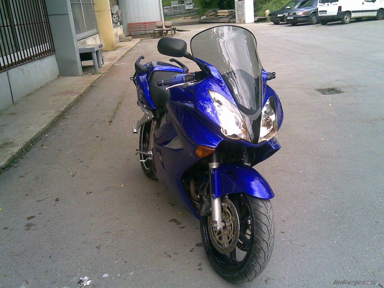 Photo 1531717