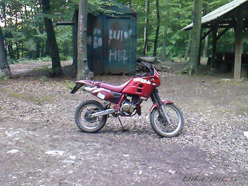 Photo 1531755