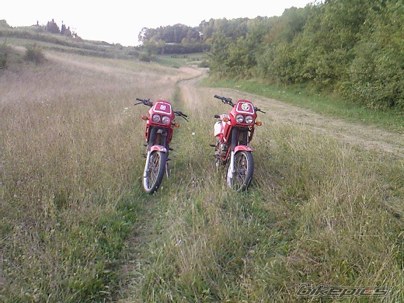Photo 1531759