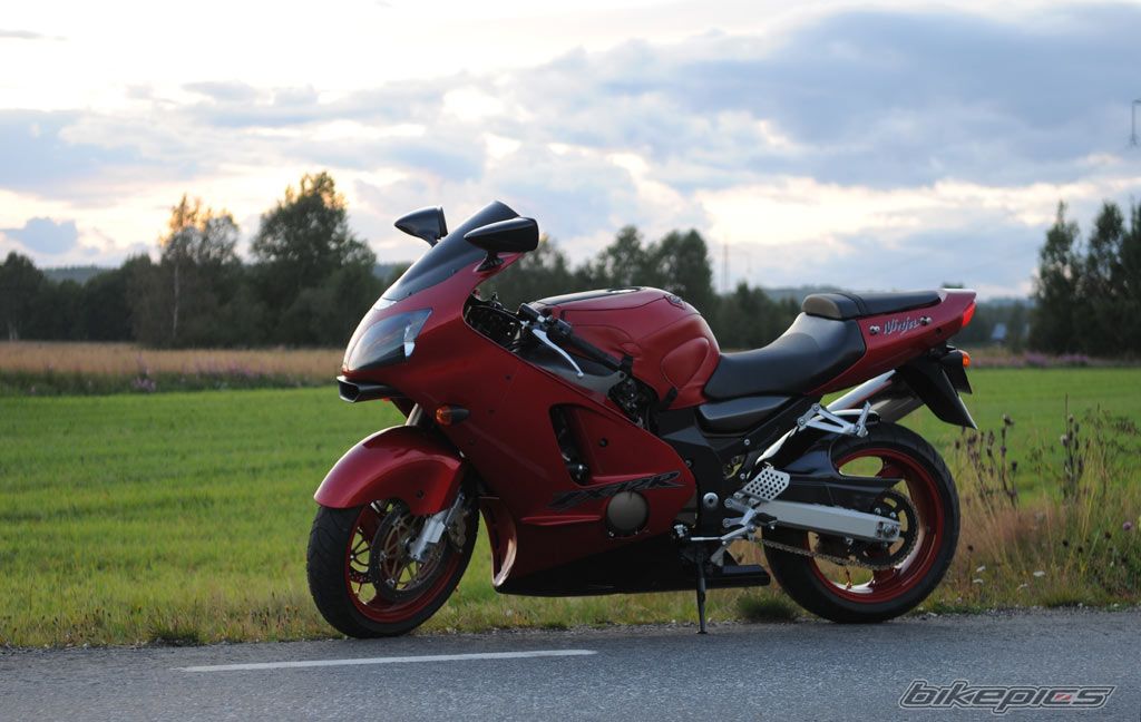 Photo 1531832