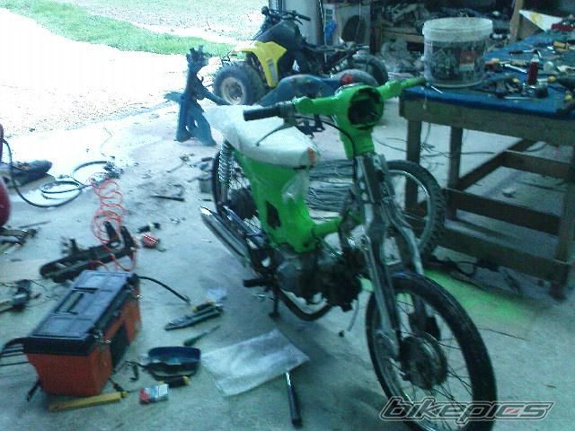 Photo 1531854