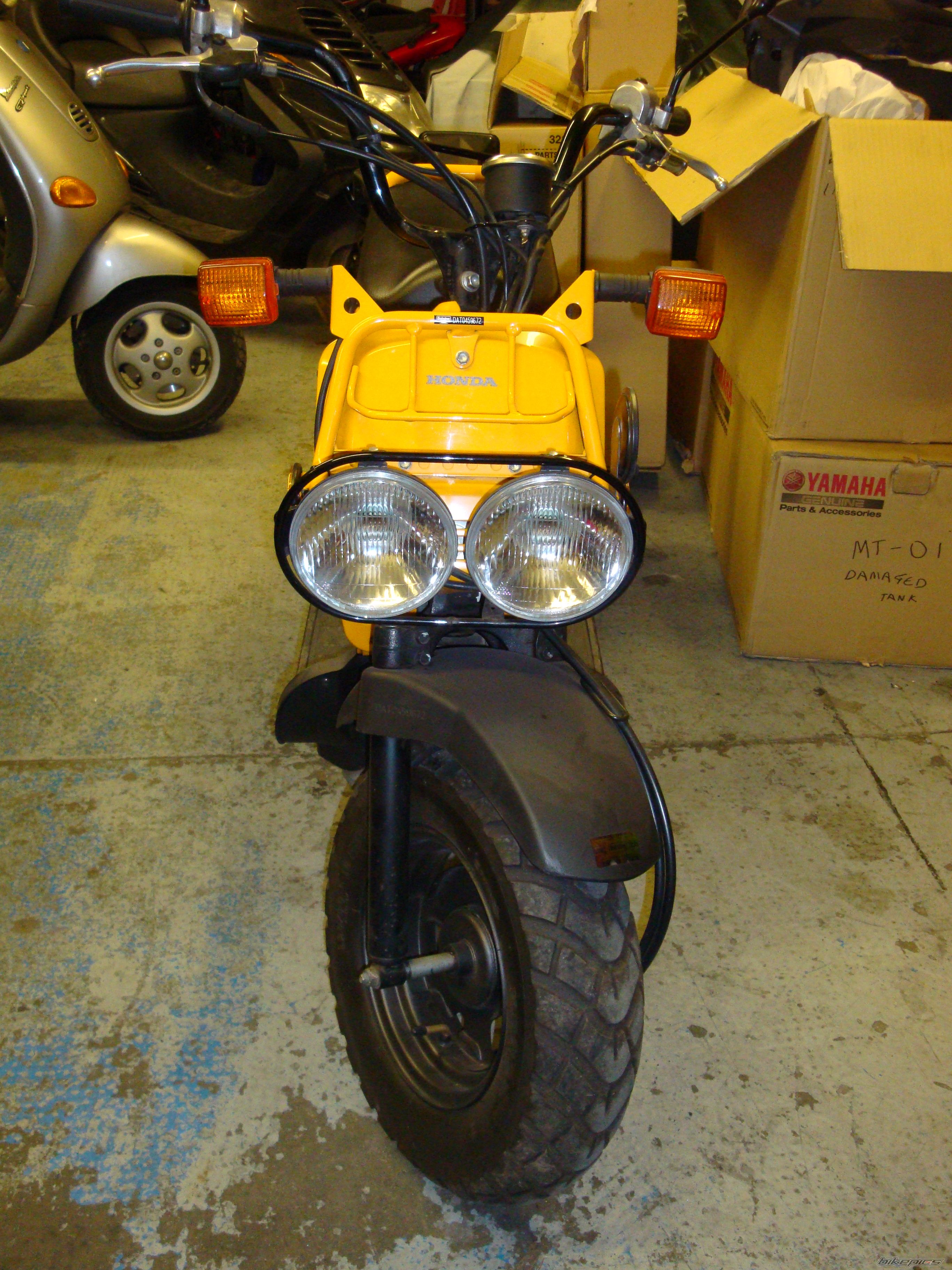 Photo 1531863
