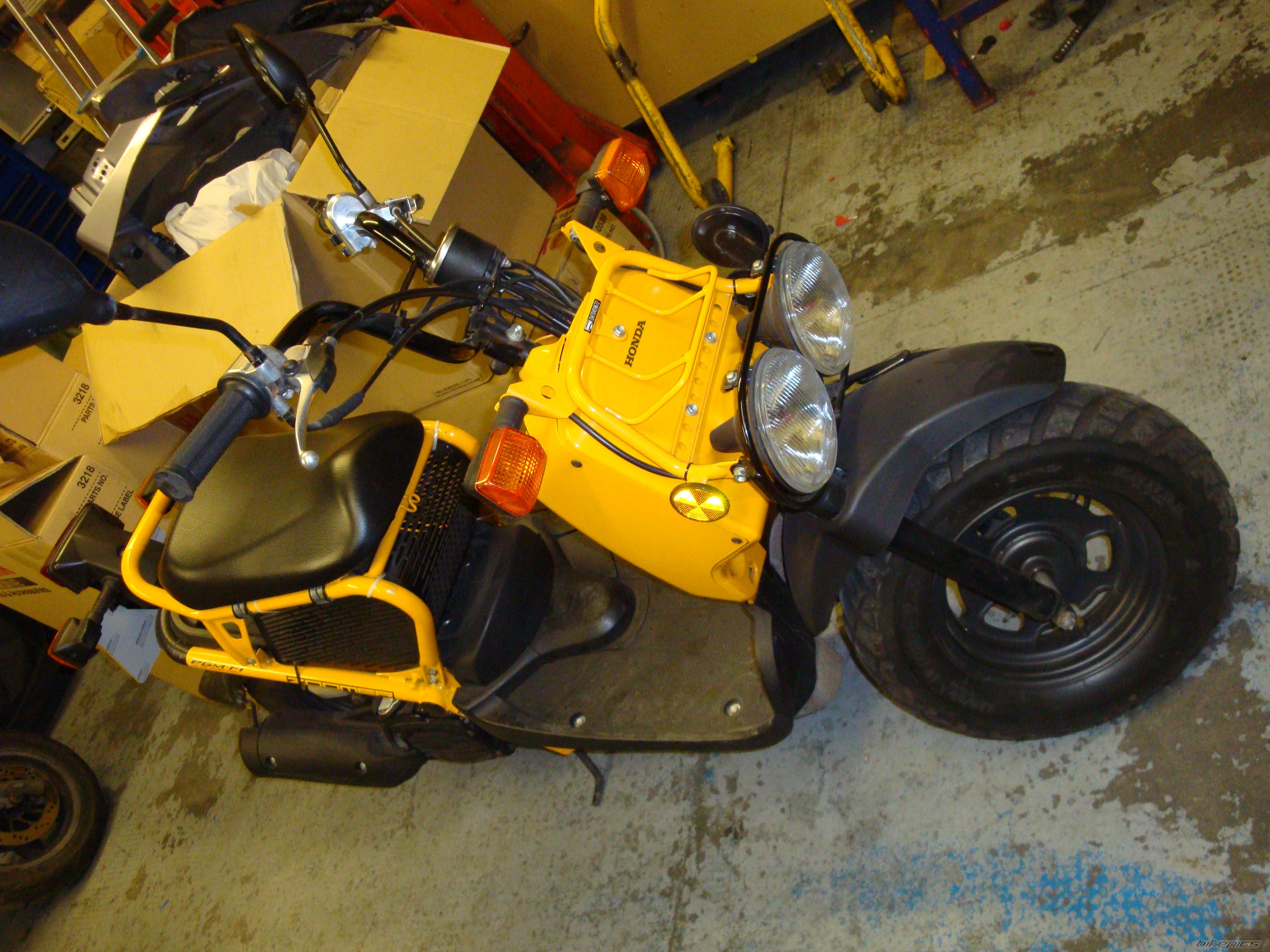 Photo 1531864