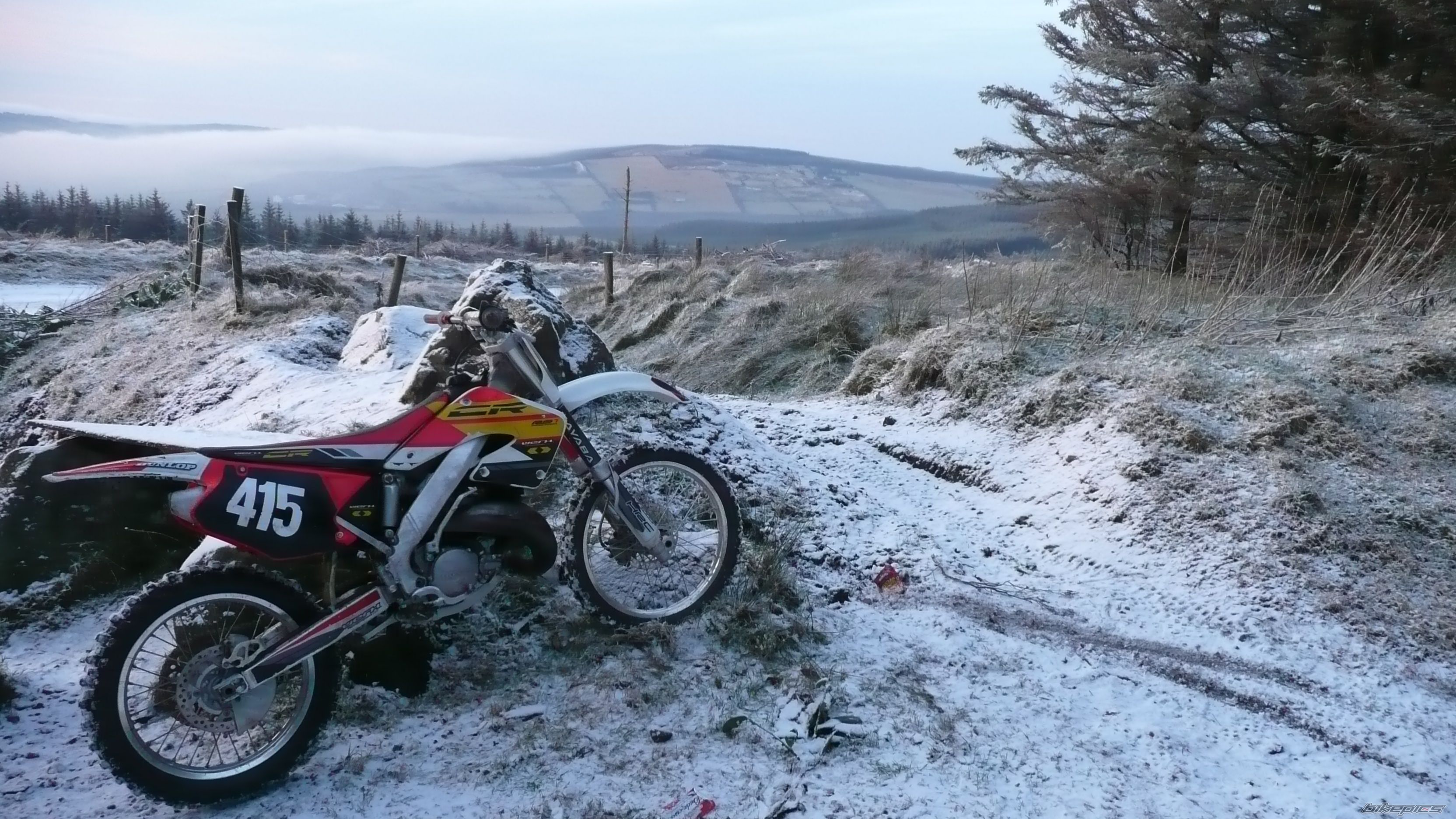 Photo 1531875