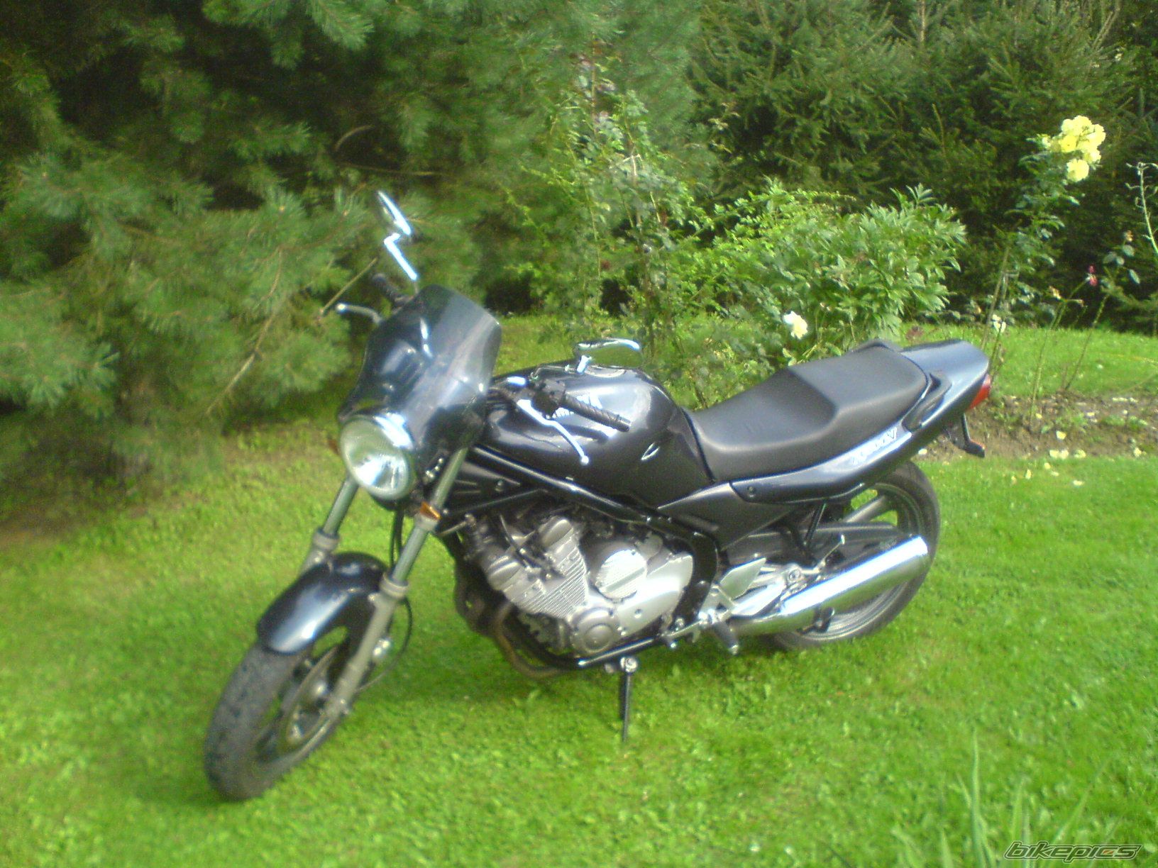 Photo 1531891