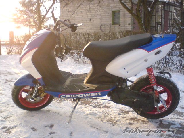 Photo 1531898