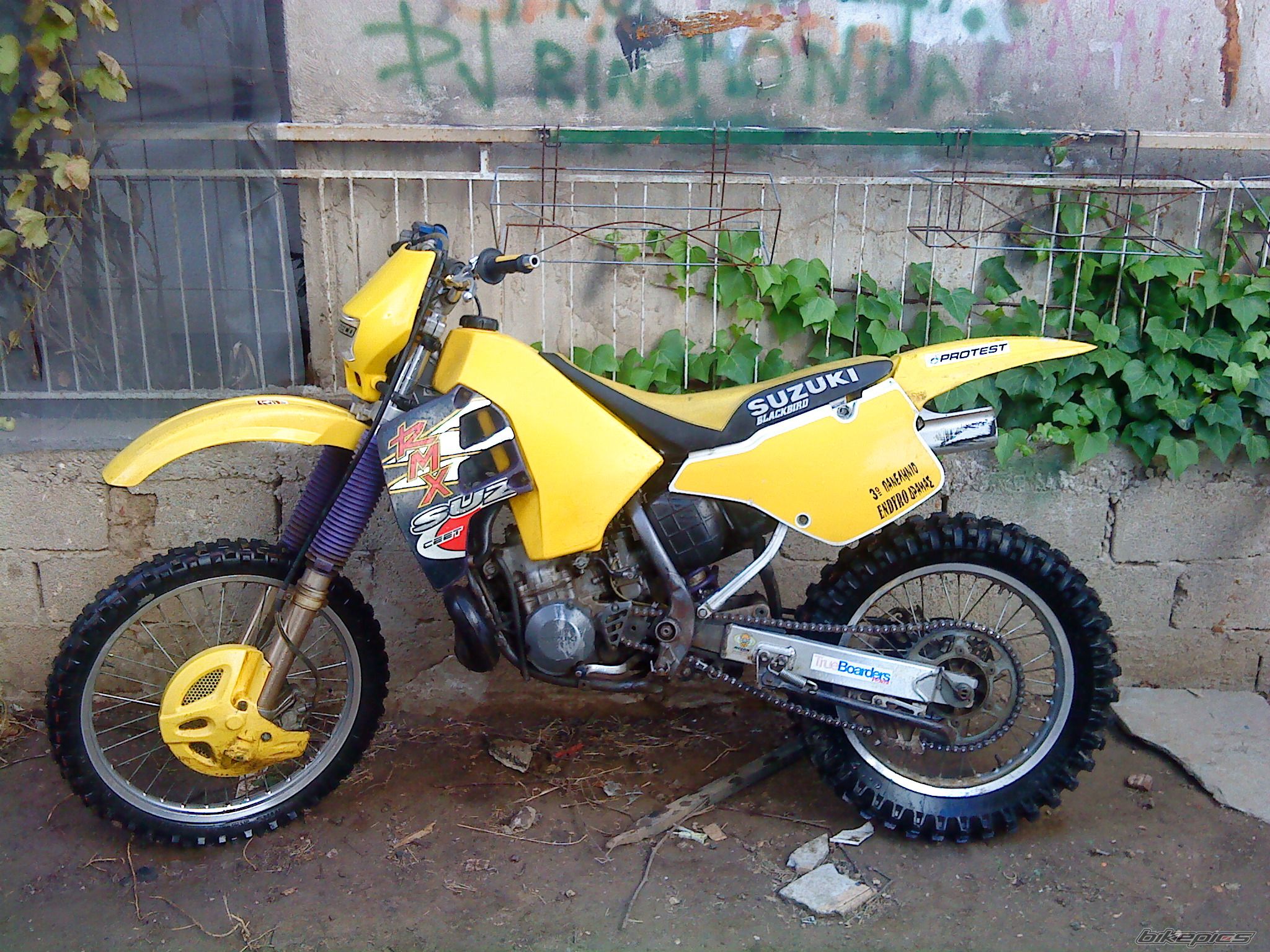 Photo 1531933