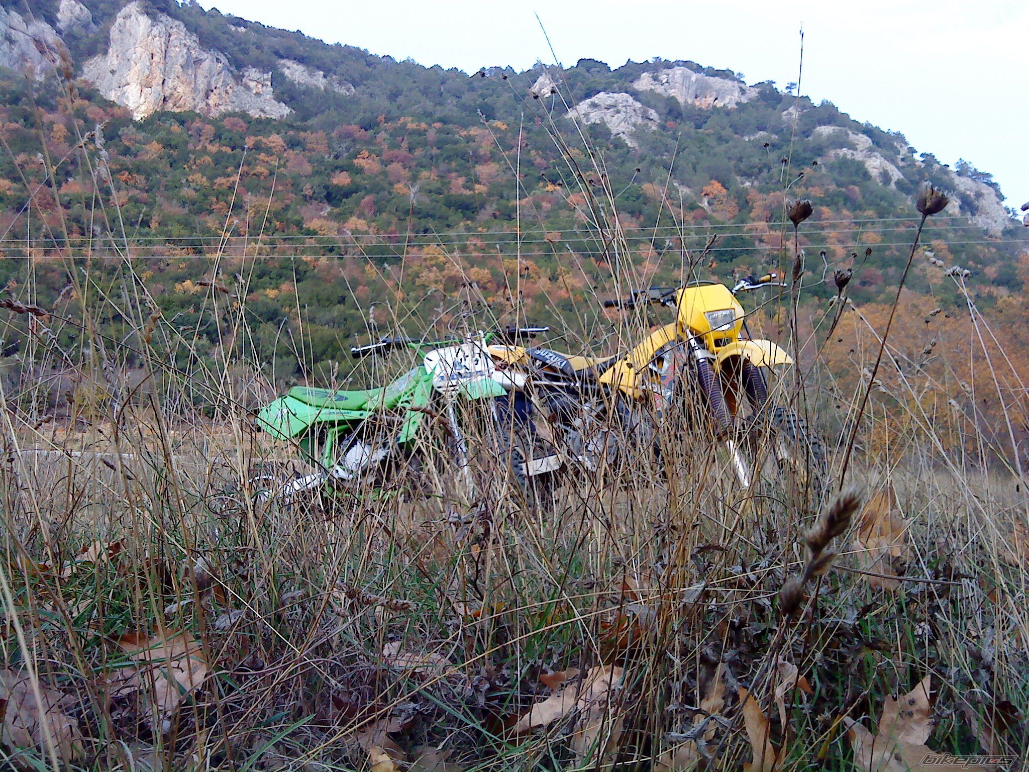 Bike Photo 1531937