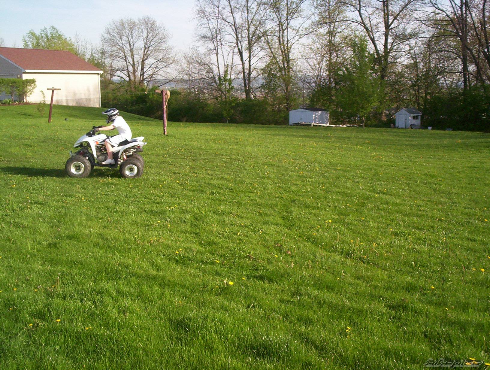 Photo 153194