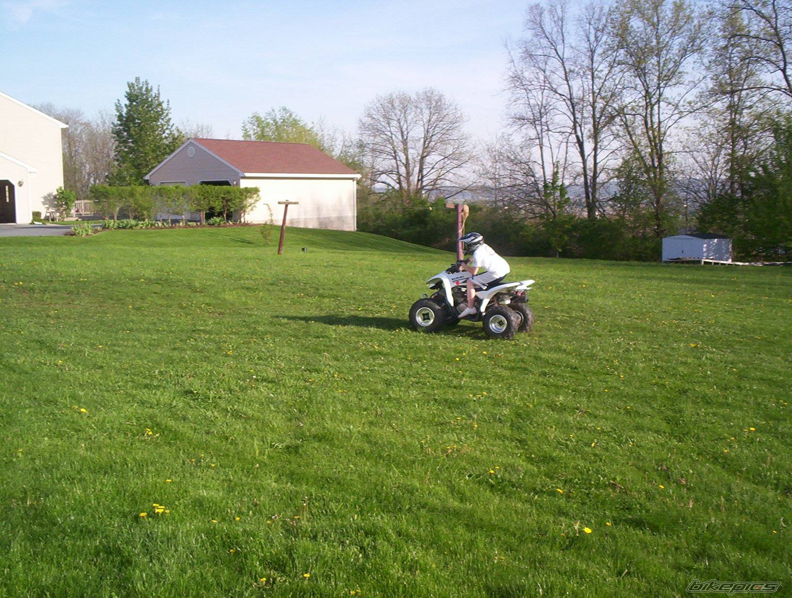 Photo 153195