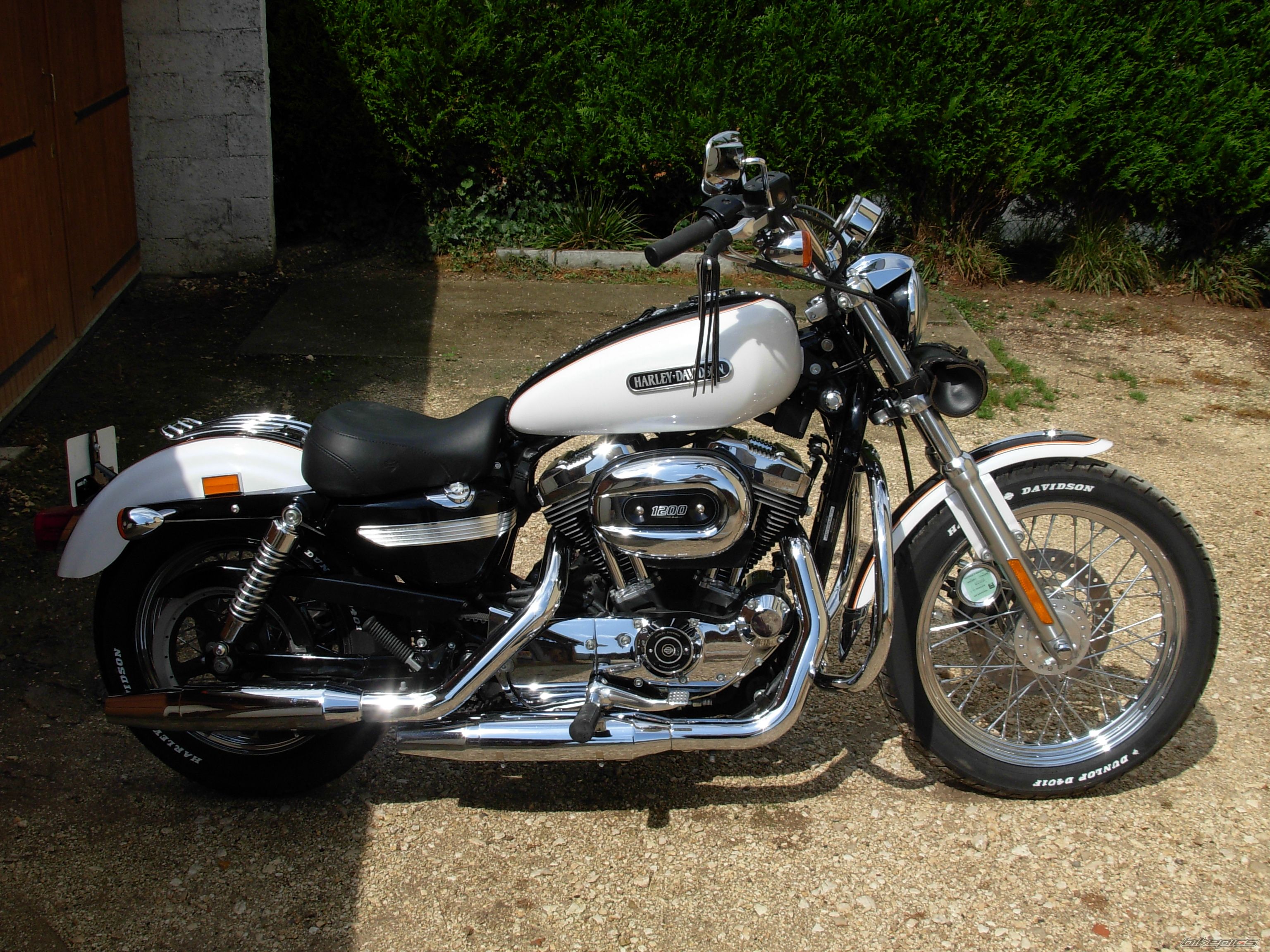 Photo 1531972