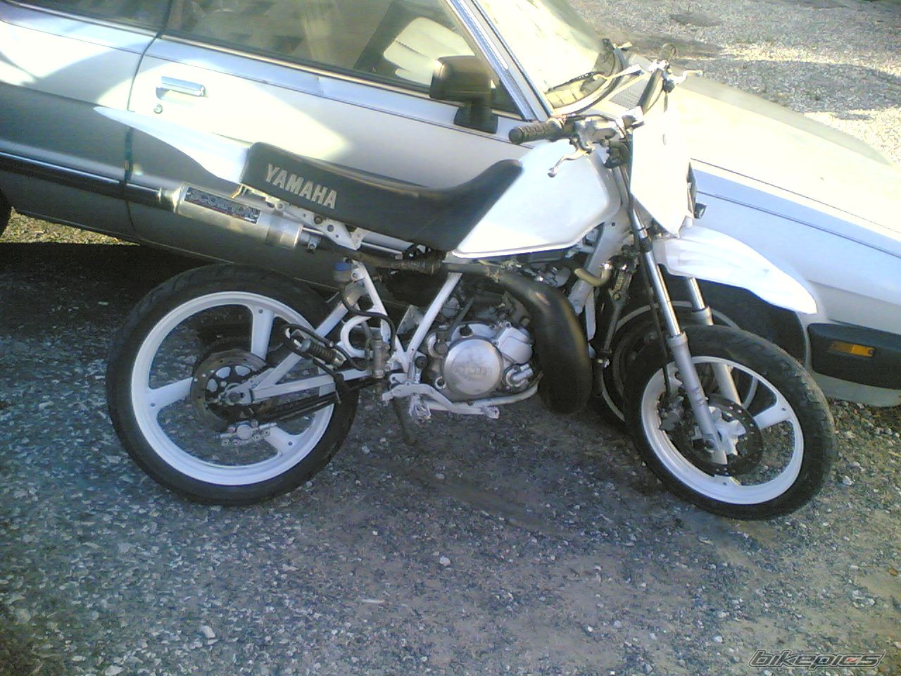 Photo 1531987