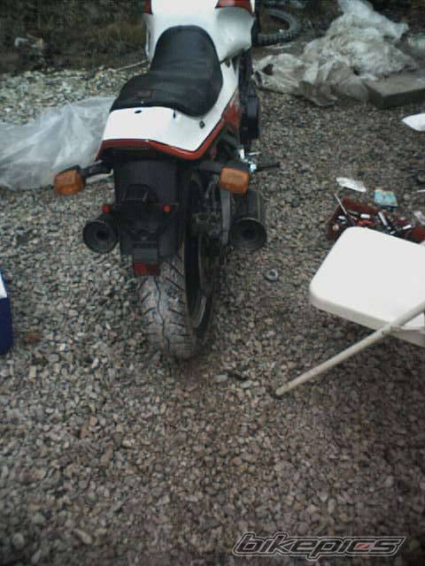 Photo 15320