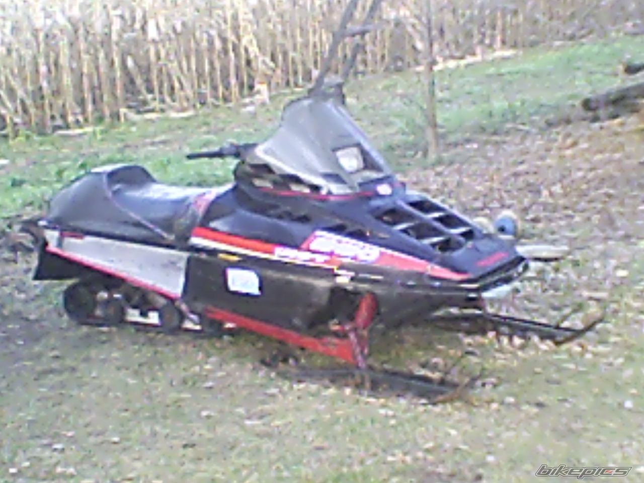 Photo 1532007