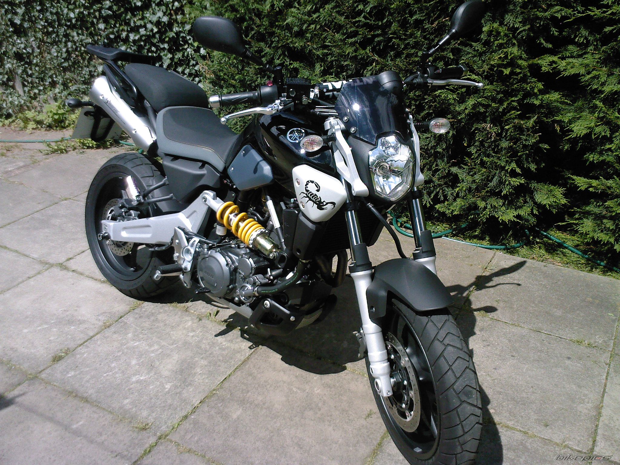 Photo 1532099