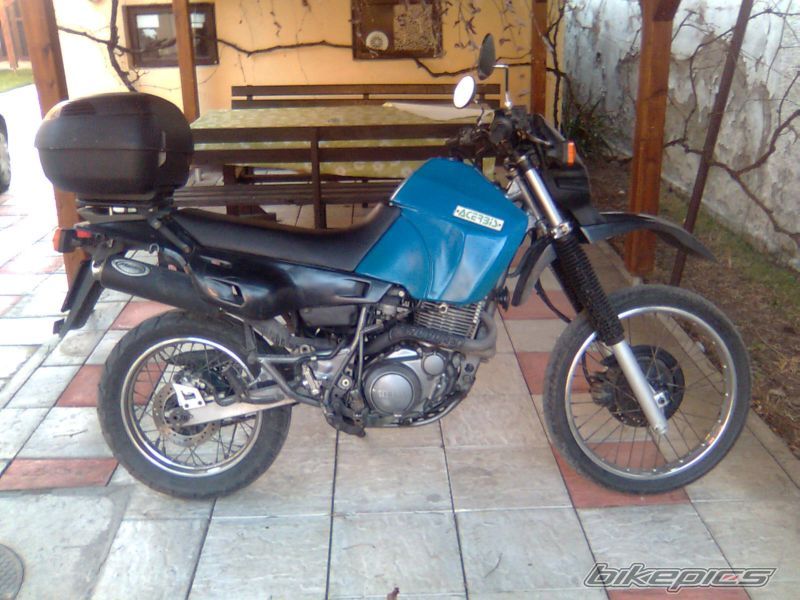 Photo 1532135