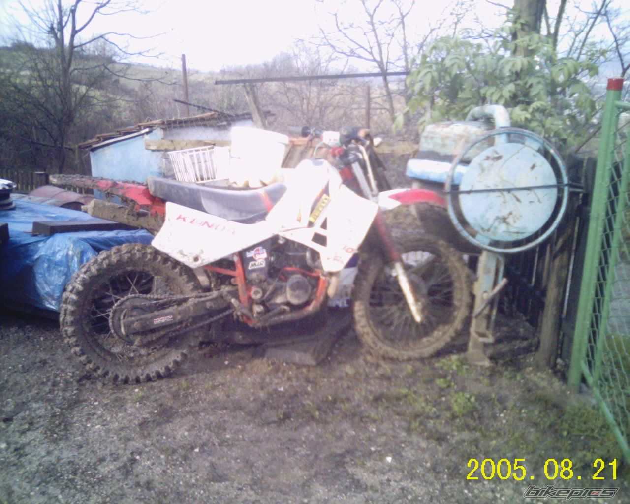 Photo 1532194