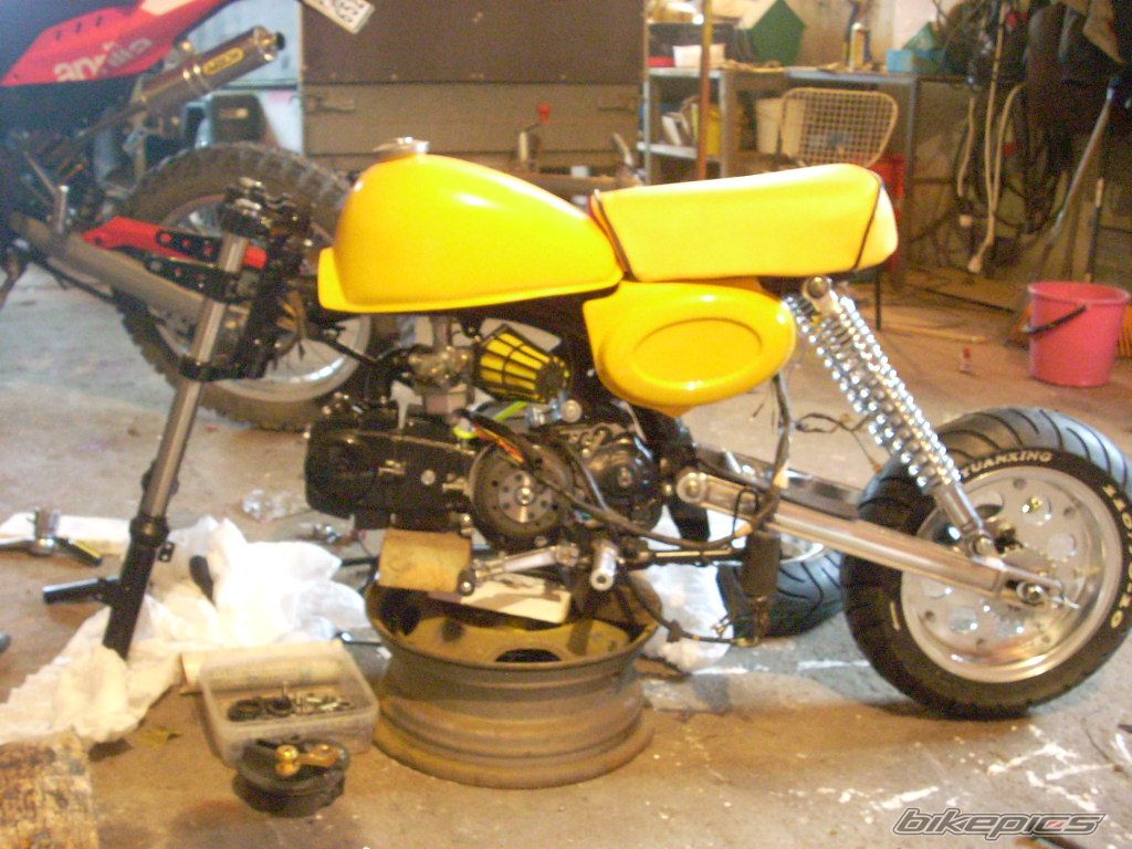 Photo 1532229