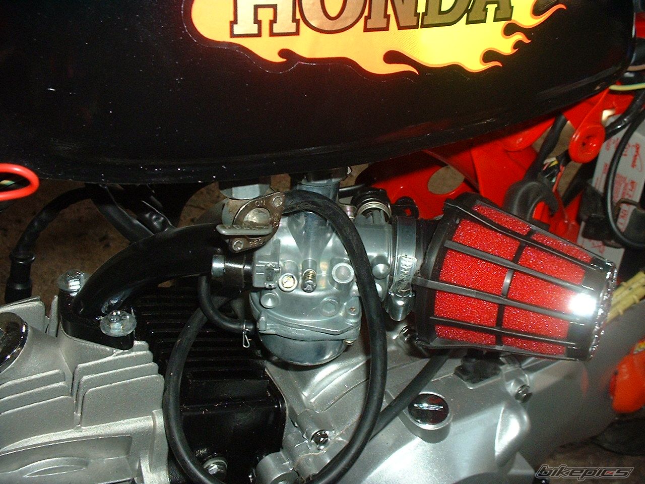 Photo 1532244