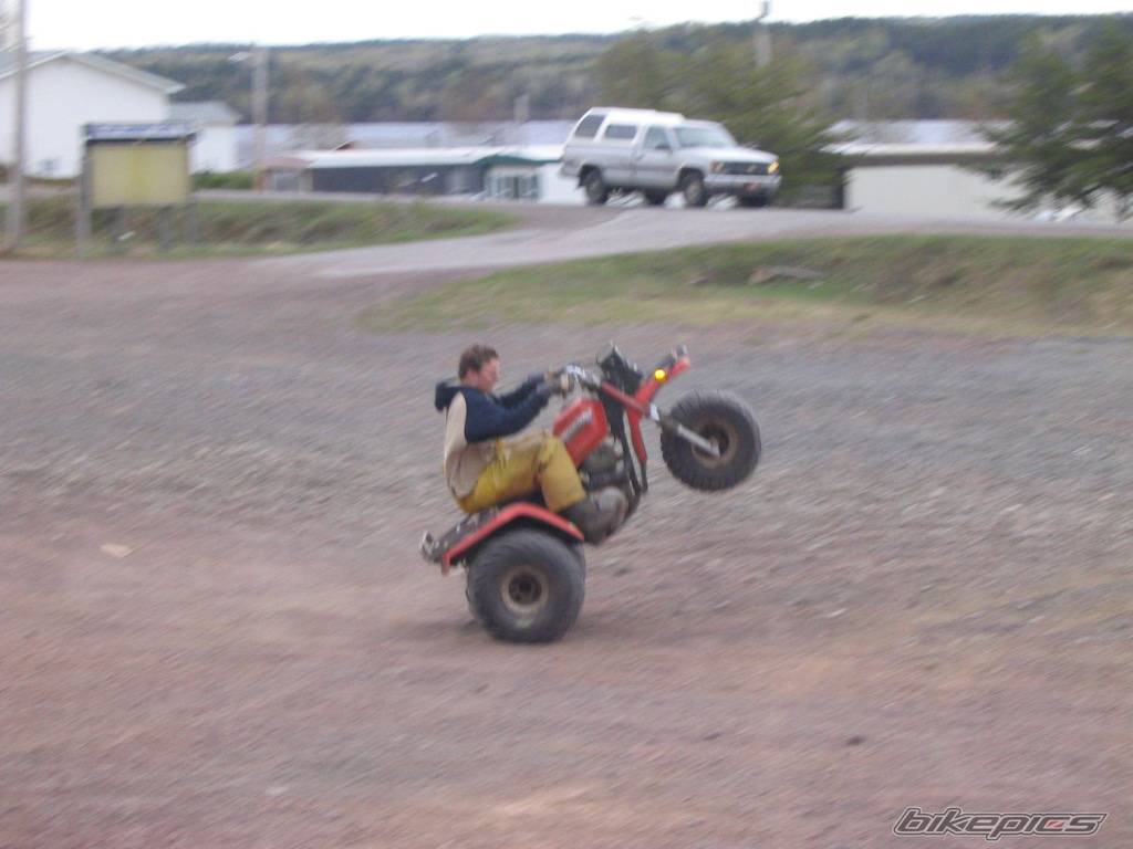 Photo 153226
