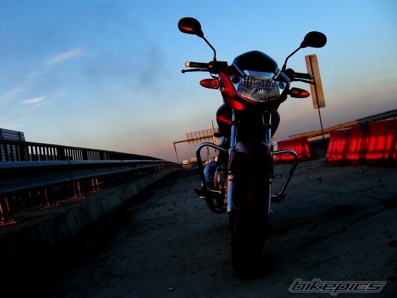 Photo 1532264