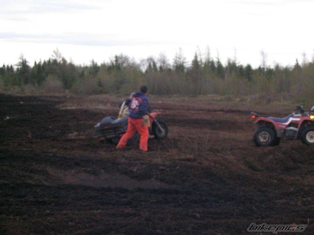 Photo 153227