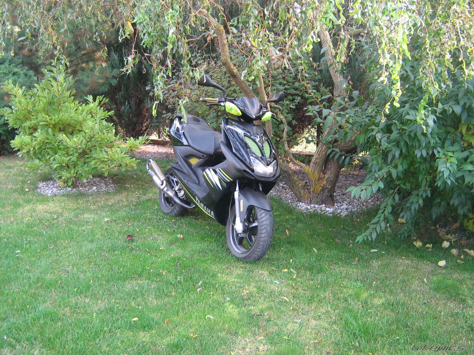 Photo 1532283