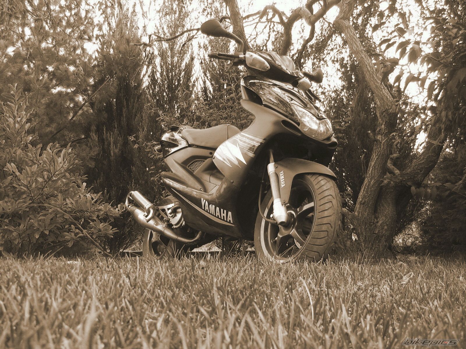 Photo 1532284