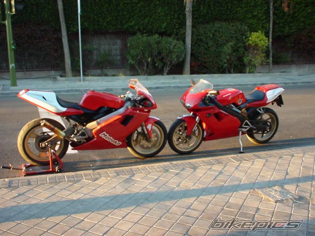 Photo 1532297