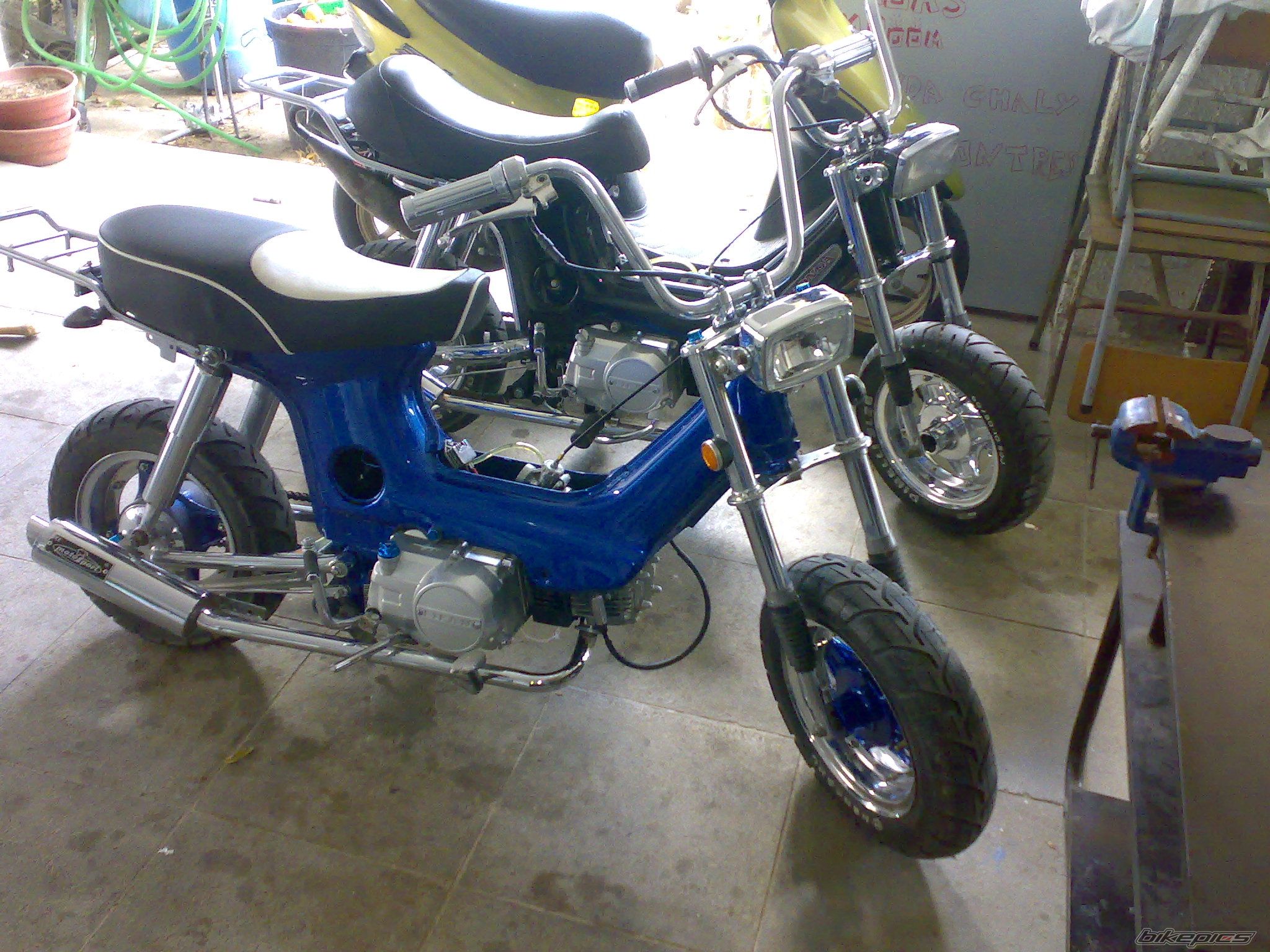 Photo 1532309