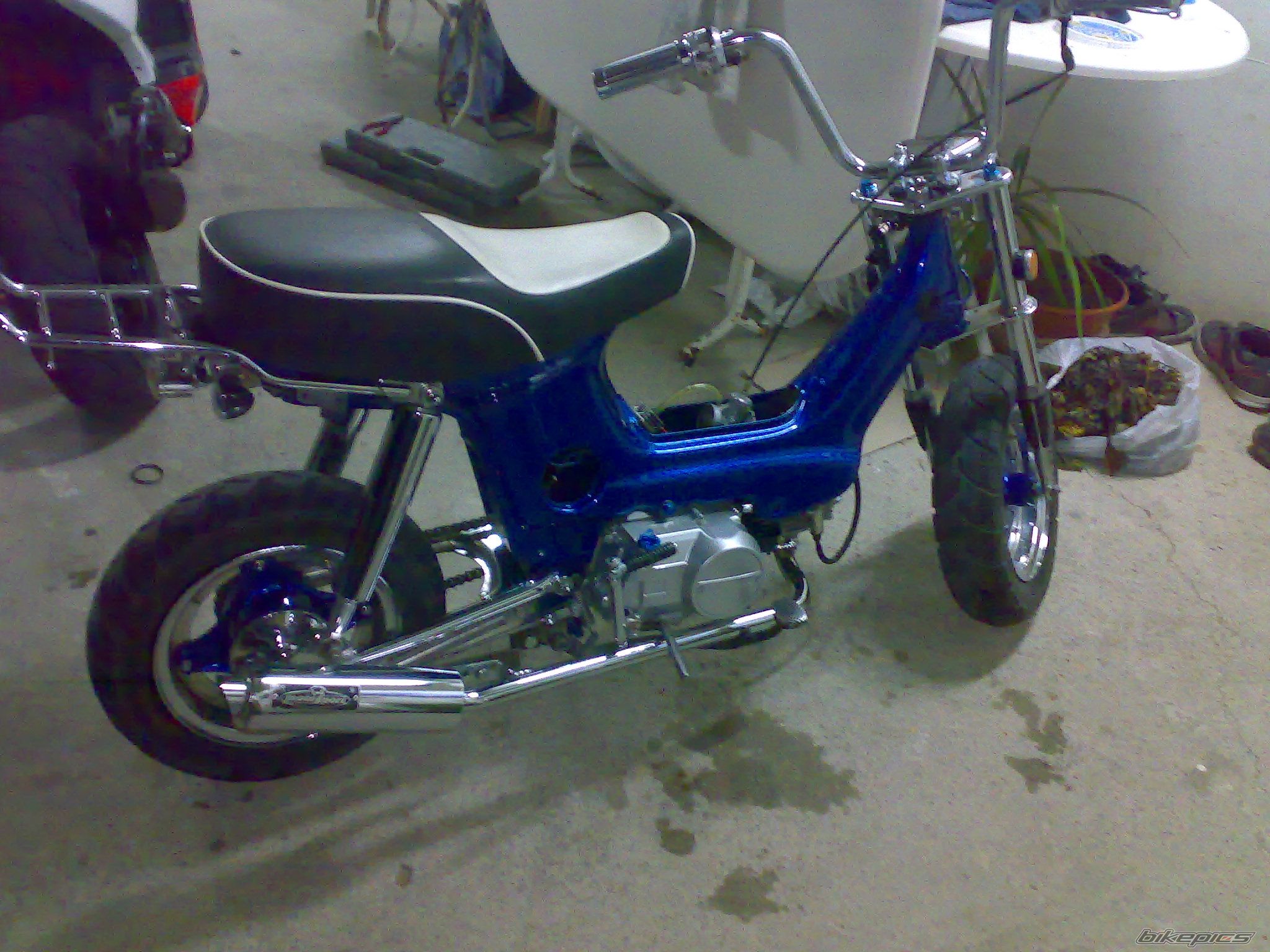 Photo 1532310
