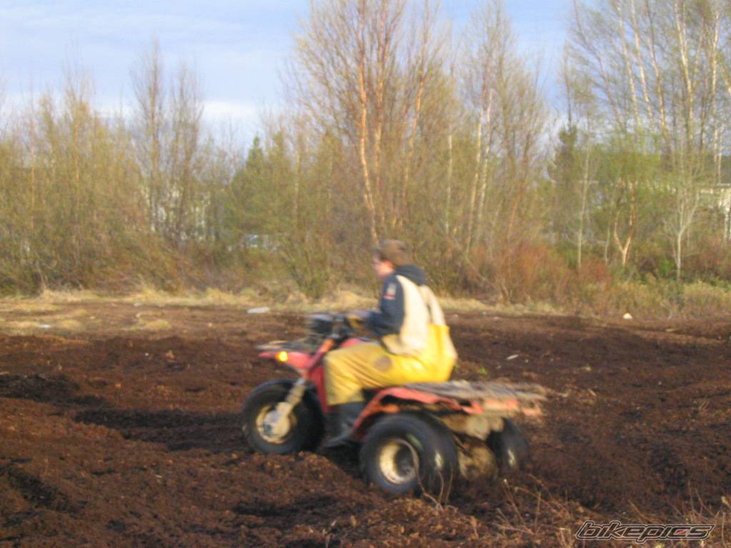 Photo 153232