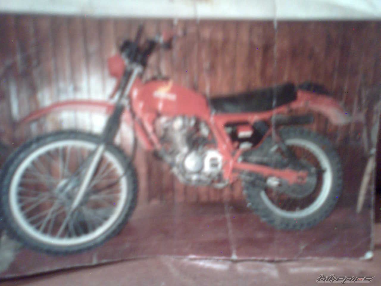 Photo 1532454