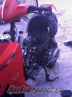 Photo 1532472