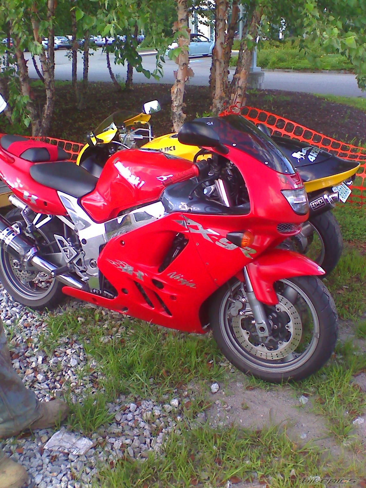 Photo 1532490
