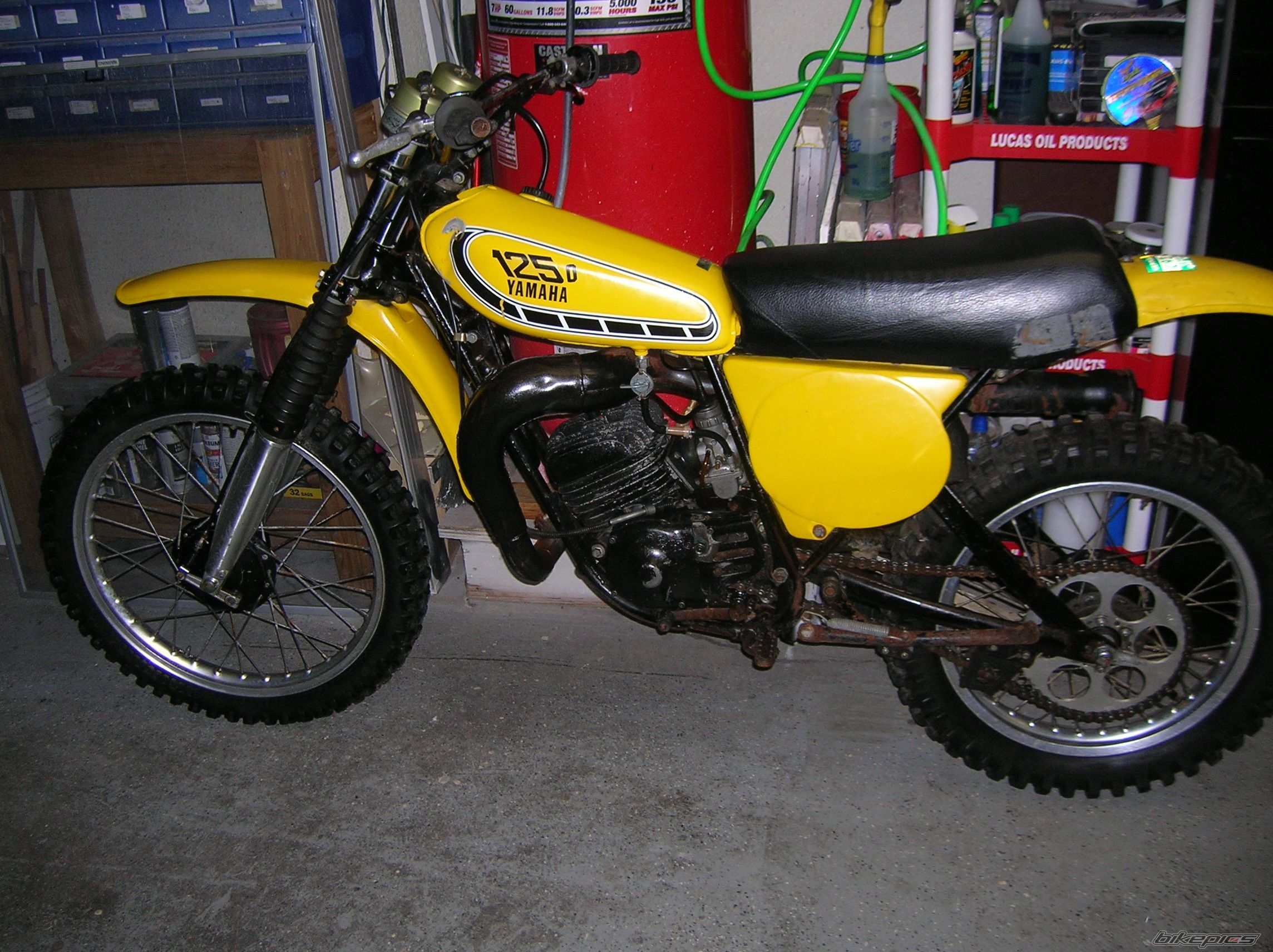 Photo 1532510