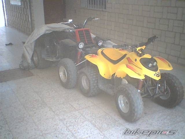 Photo 153255
