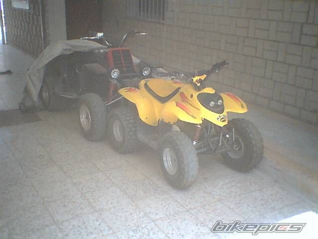 Photo 153256