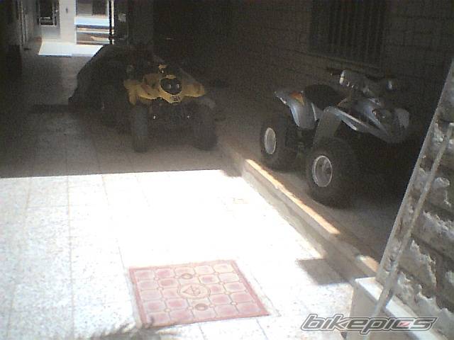 Photo 153257