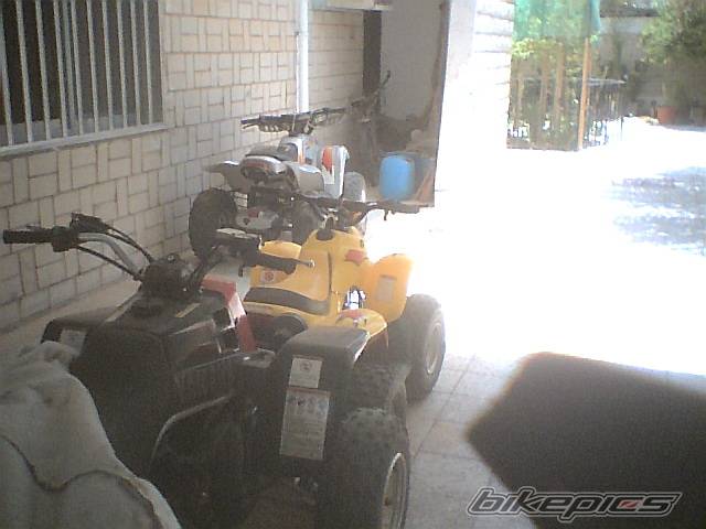 Photo 153264
