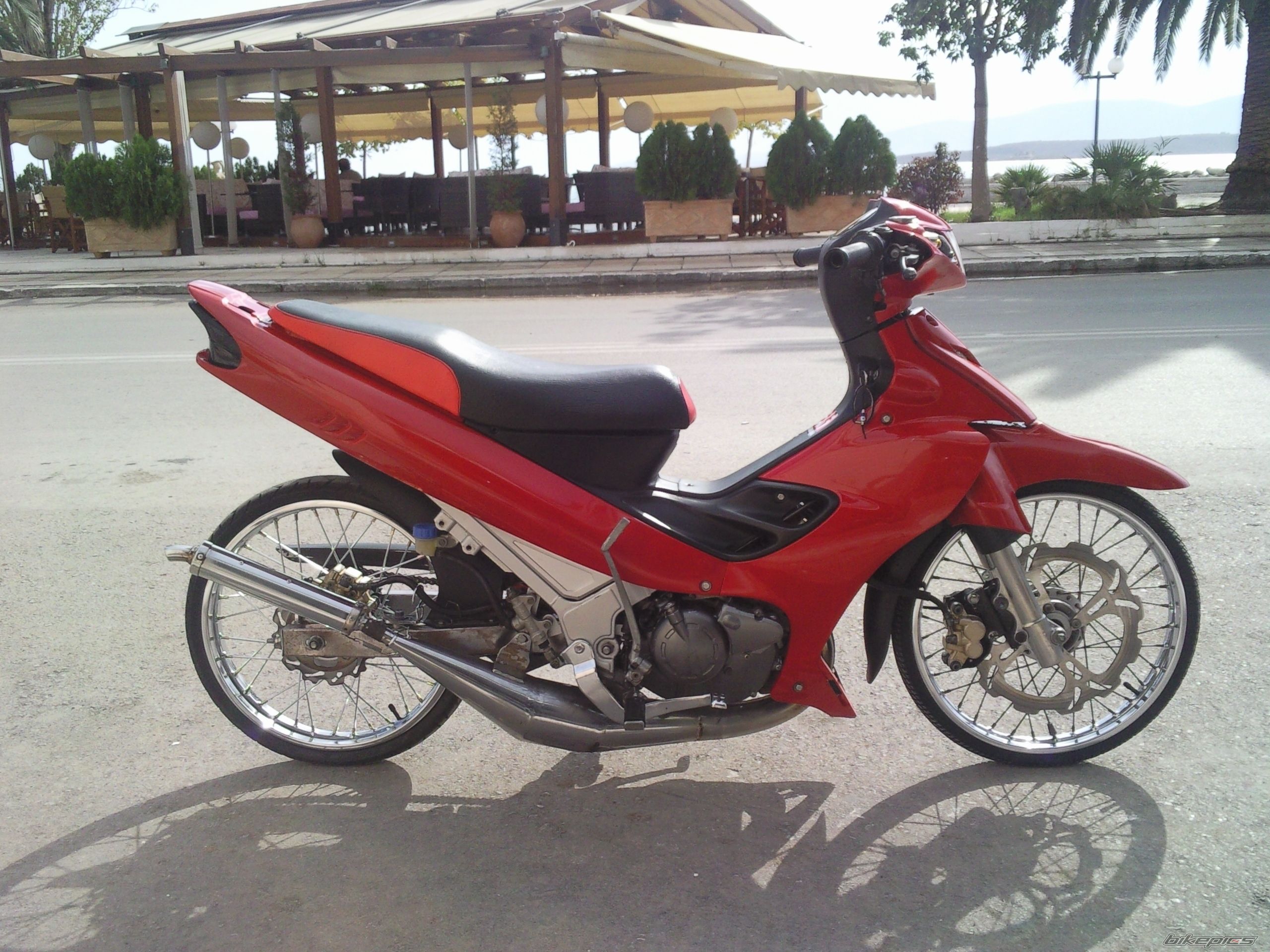 Photo 1532668