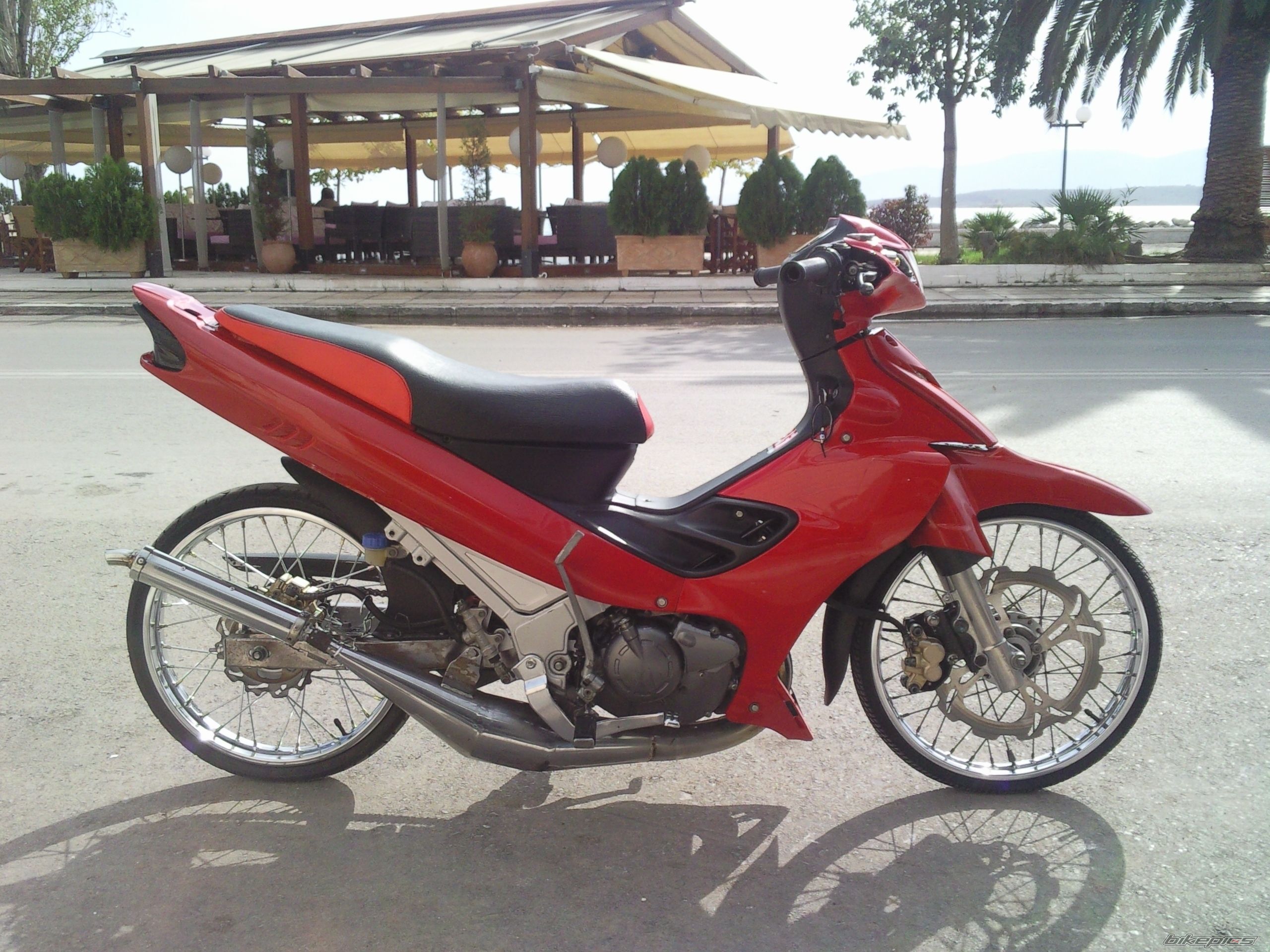 Photo 1532669