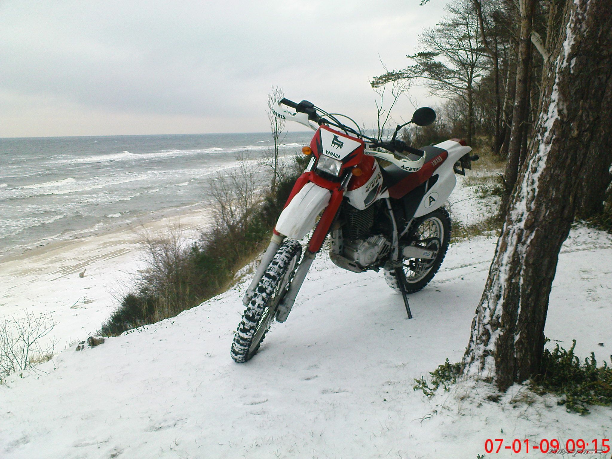 Photo 1532673
