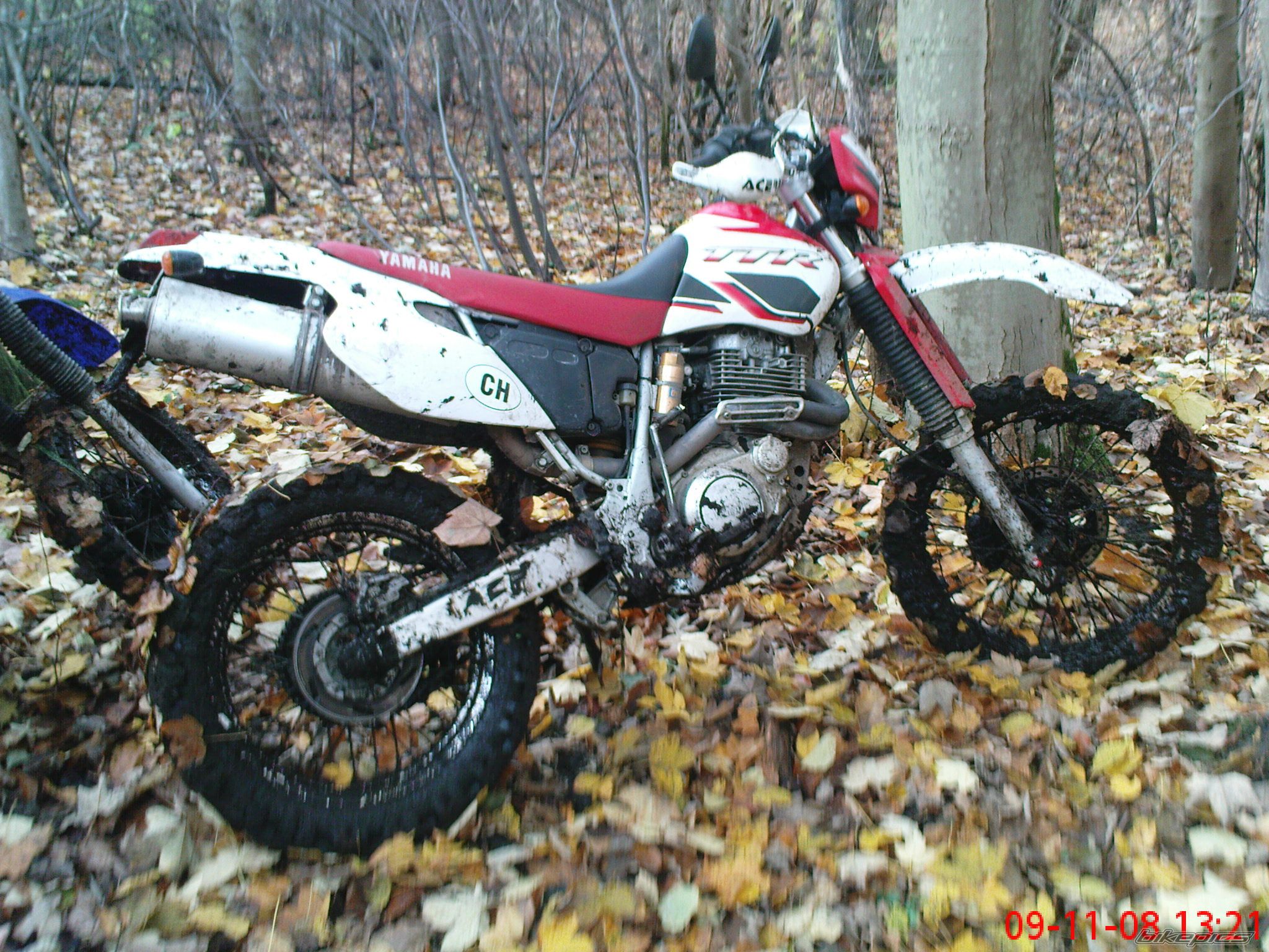 Photo 1532678